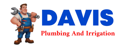 Trusted plumber in BOYS RANCH